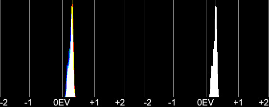 e6a17d03506daa78ee602b4f1c55e7ed.jpg